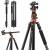 K&F Concept KF4248 - statyw fotograficzny T254A7 + głowica kulowa BH-28L
